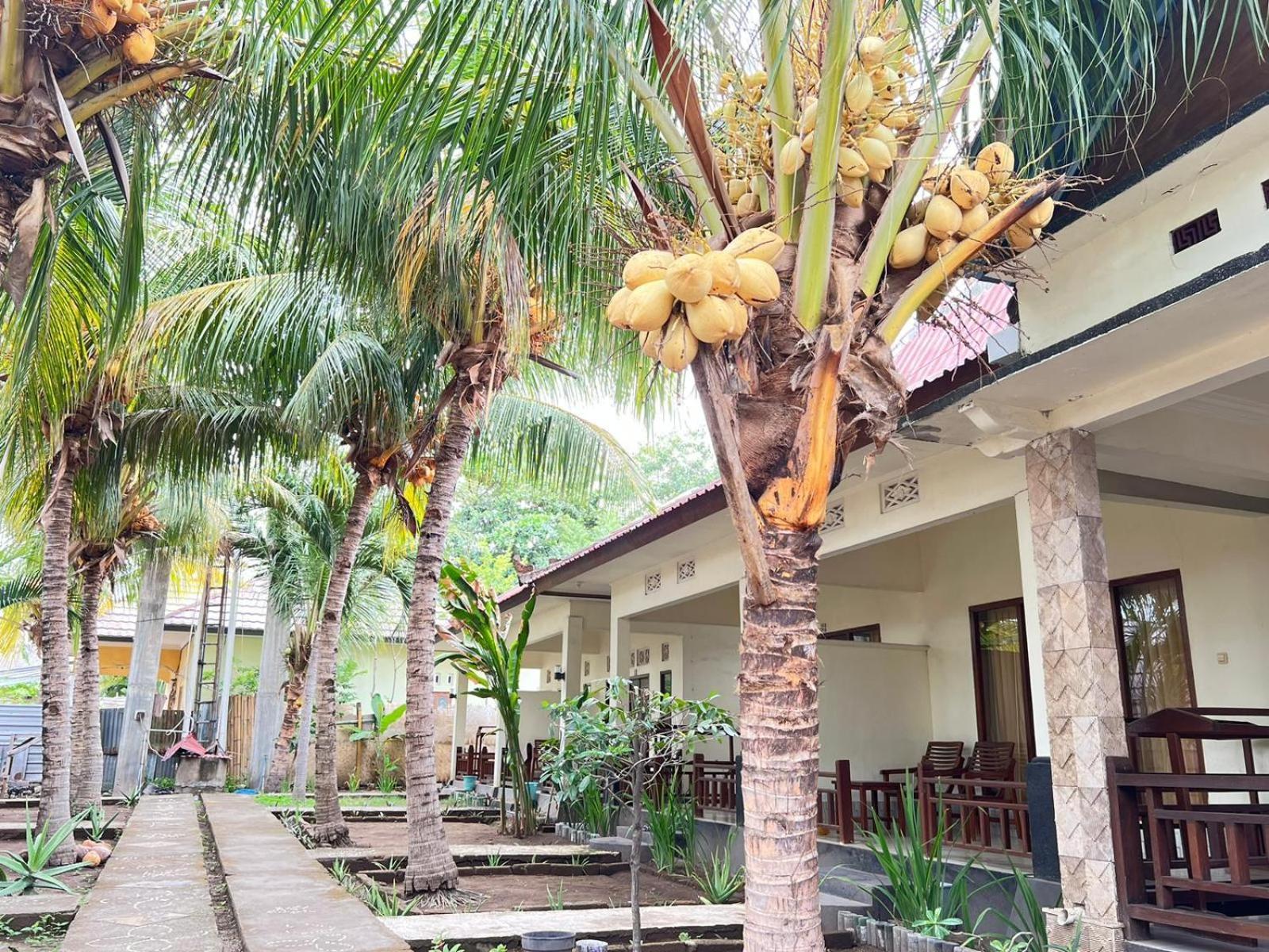 Bias Bungalows Gili Air Eksteriør bilde